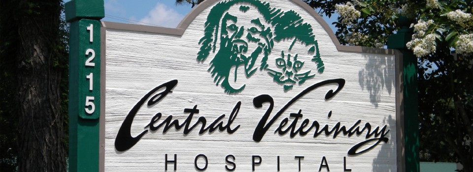Central Veterinary Hospital
